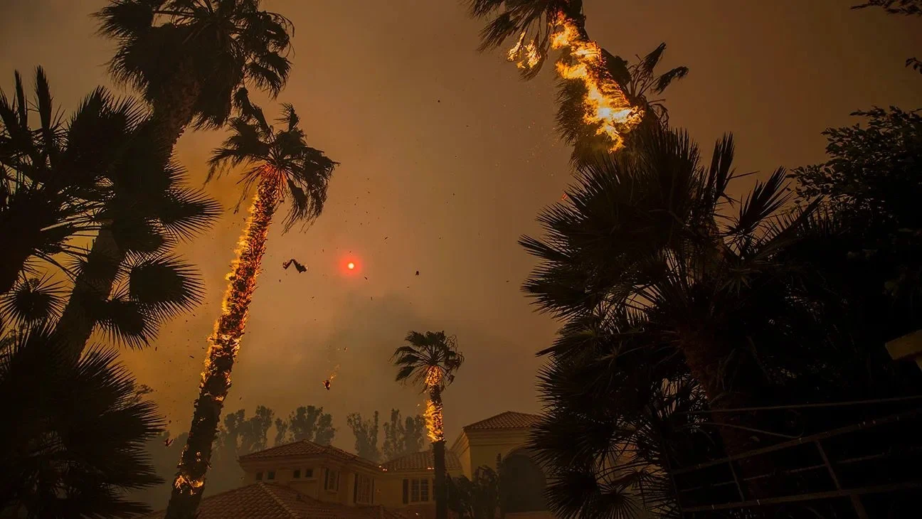 L.A. Wildfires: How to Help